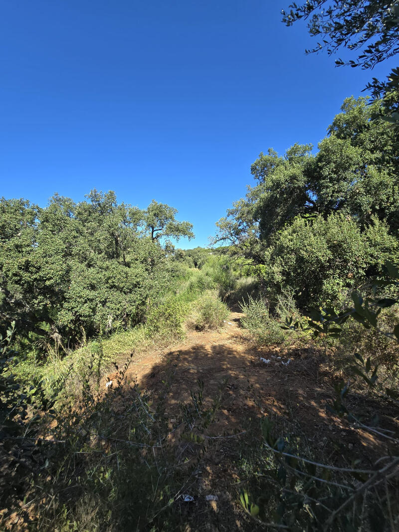 Land for sale