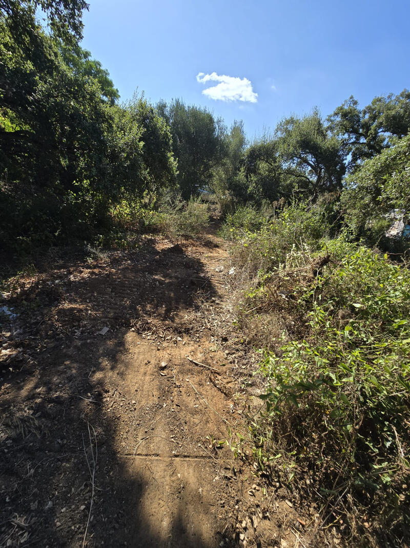 Land for sale
