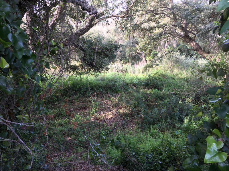Land for sale