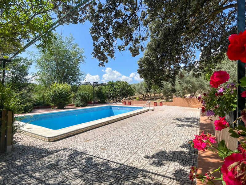 Country House for sale in Antequera, Málaga