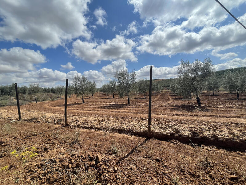 Terrenos en venta