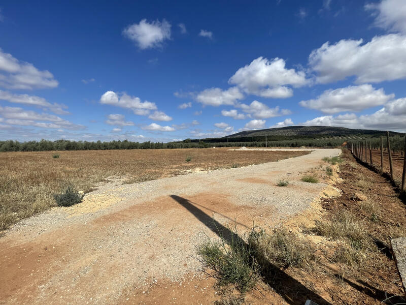 Terrain à vendre