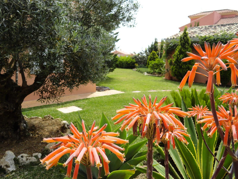 4 bedroom Villa for sale