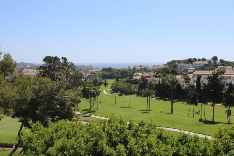 4 Cuarto Casa de Campo en venta
