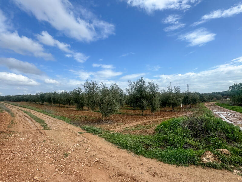 Land Te koop in Mollina, Málaga