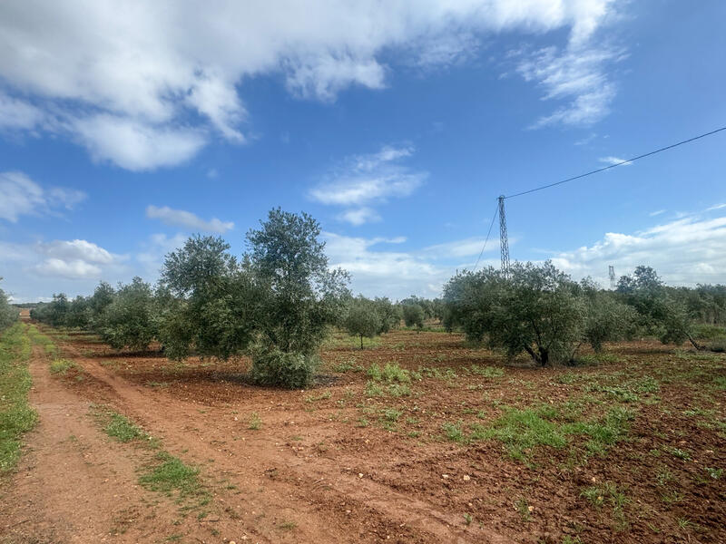 Land for sale