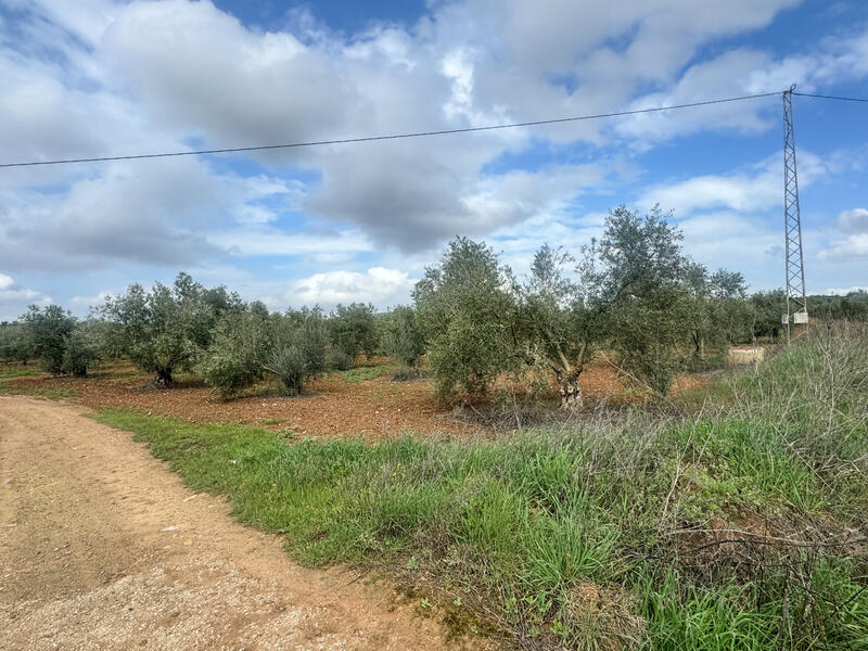 Land for sale