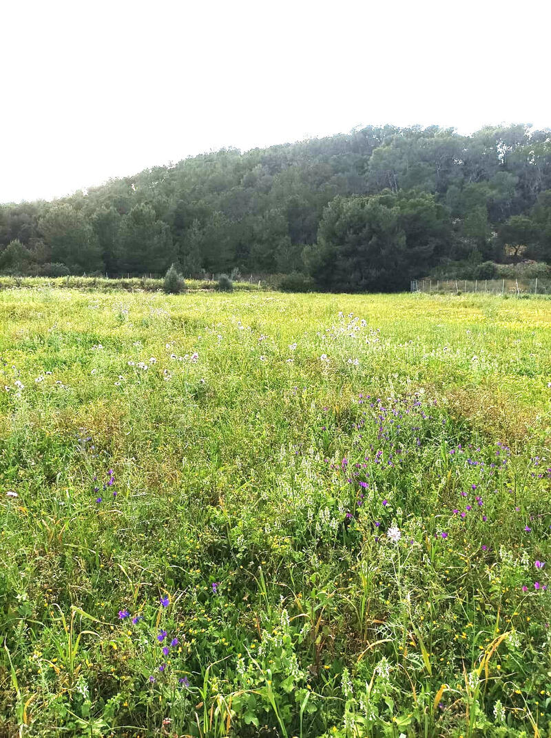 Terrain à vendre