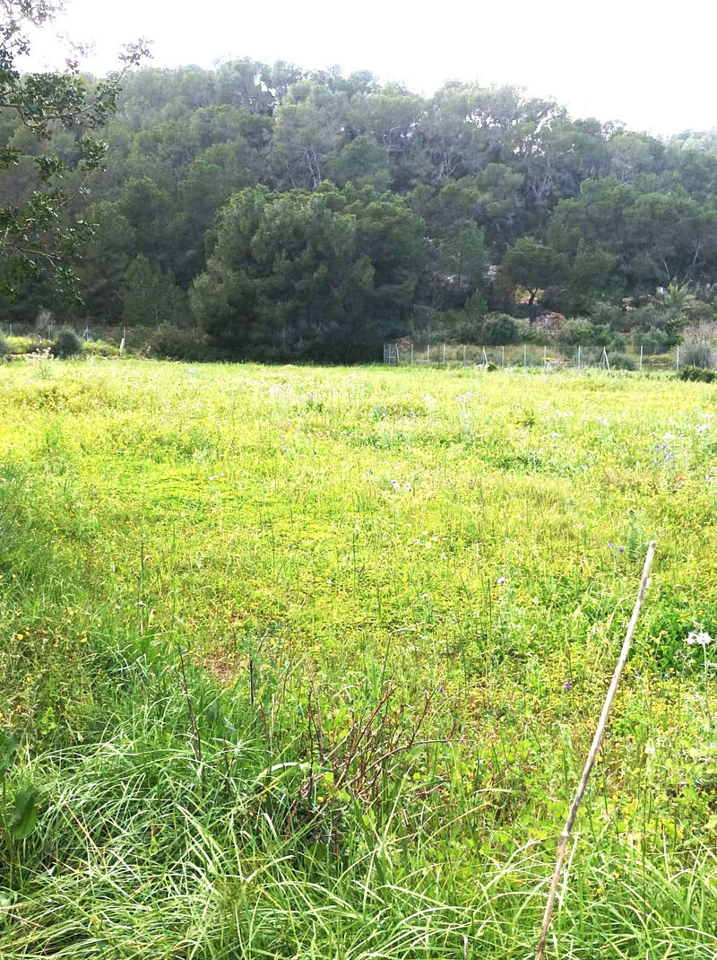 Terrain à vendre