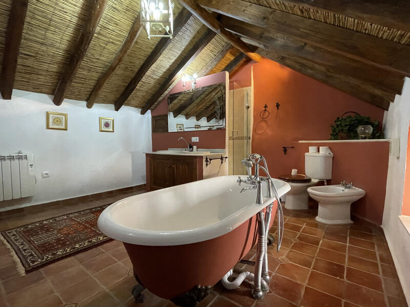 20 bedroom Country House for sale