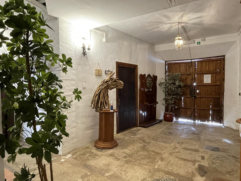 20 bedroom Country House for sale