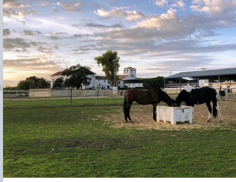 20 bedroom Country House for sale