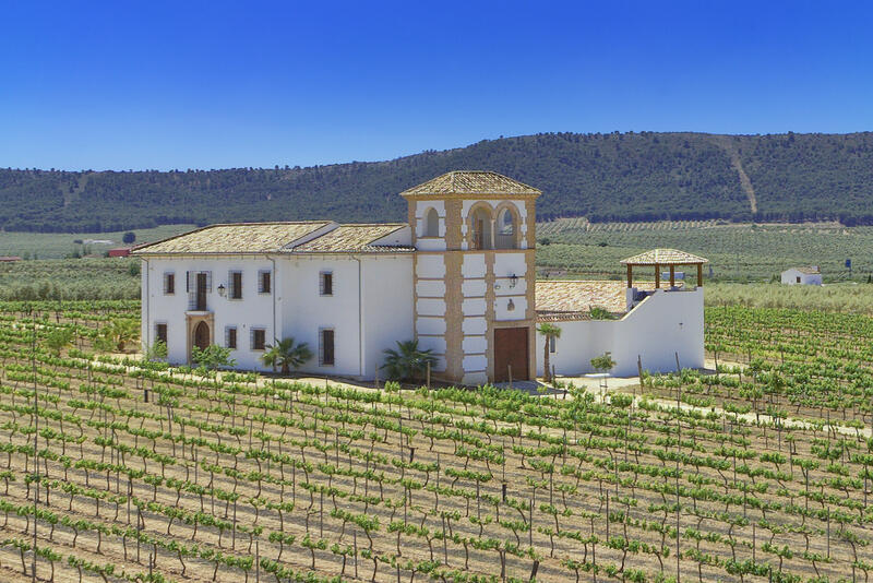 5 bedroom Country House for sale