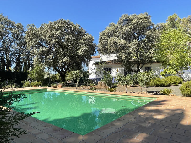 Country House for sale in Archidona, Málaga