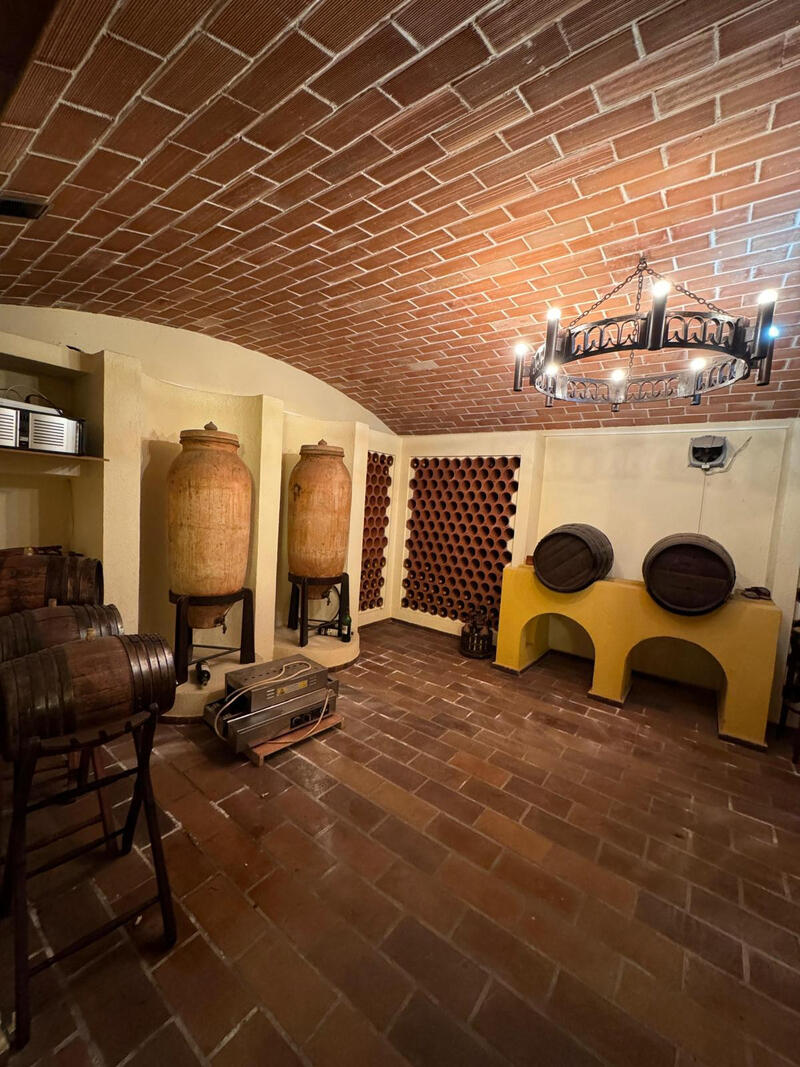 4 chambre Auberge à vendre