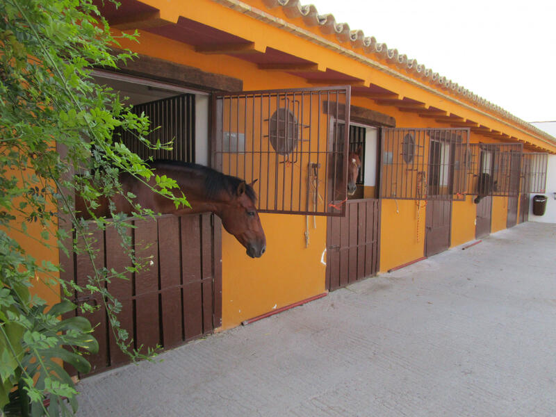 4 bedroom Country House for sale