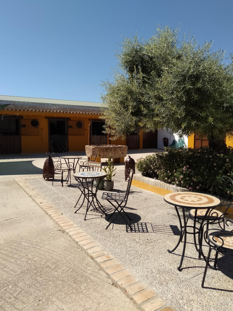 4 bedroom Country House for sale