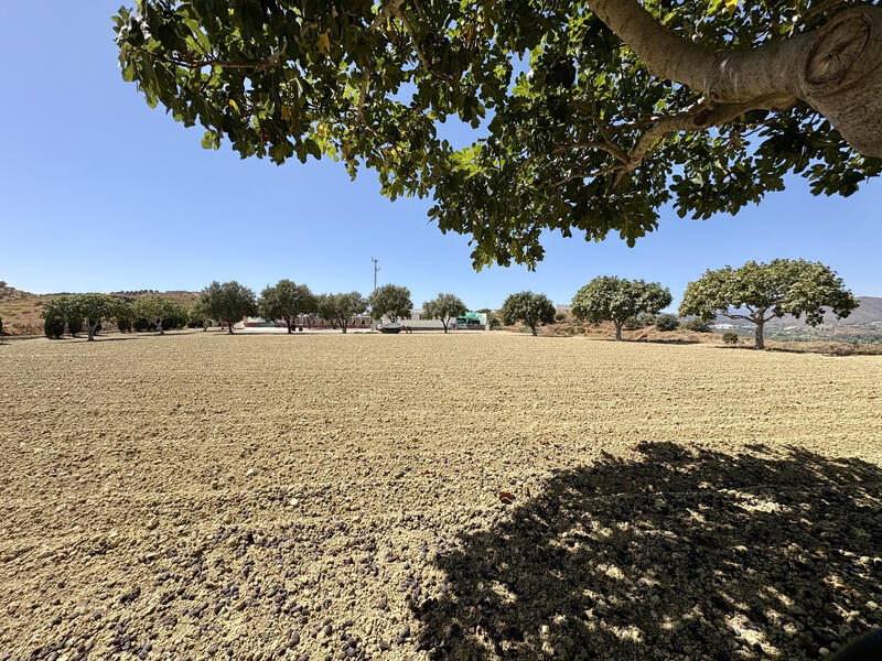 2 bedroom Land for sale