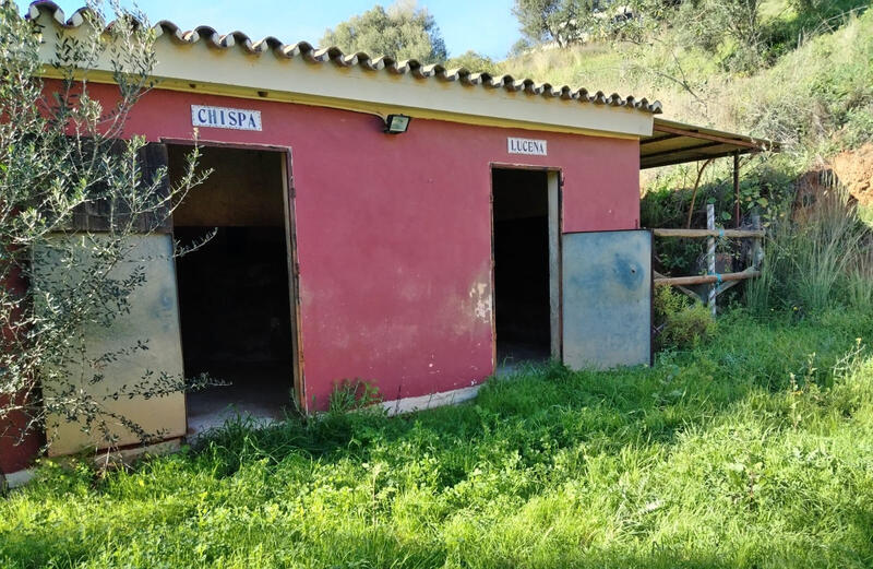 3 спальная комната Дом в пещере продается