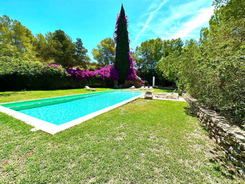 1 chambre Appartement à vendre 1 chambre Appartement à vendre