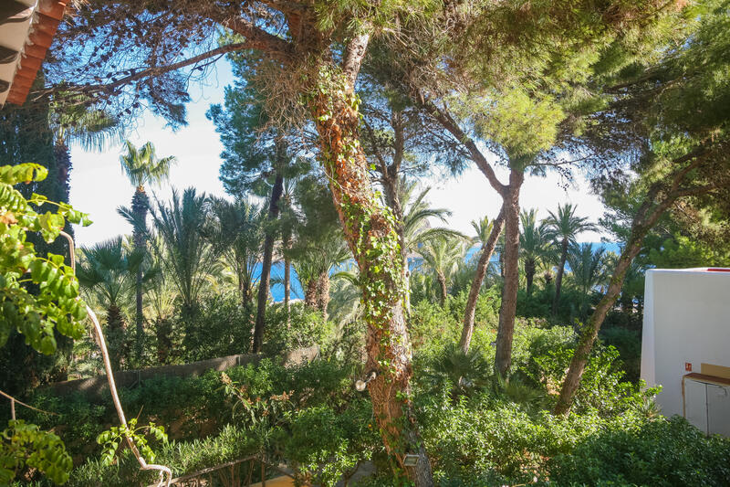 1 chambre Appartement à vendre