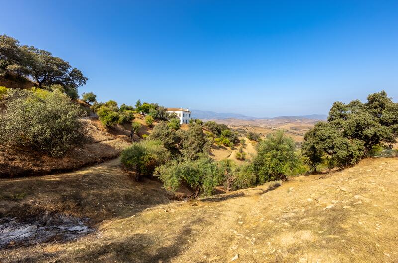 4 bedroom Villa for sale