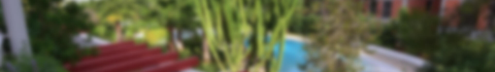 3 chambre Appartement à vendre