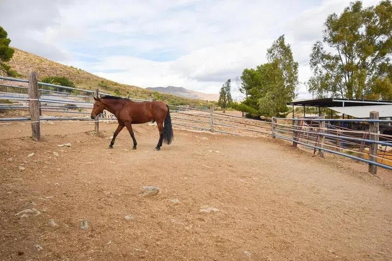 6 bedroom Country House for sale 6 bedroom Country House for sale