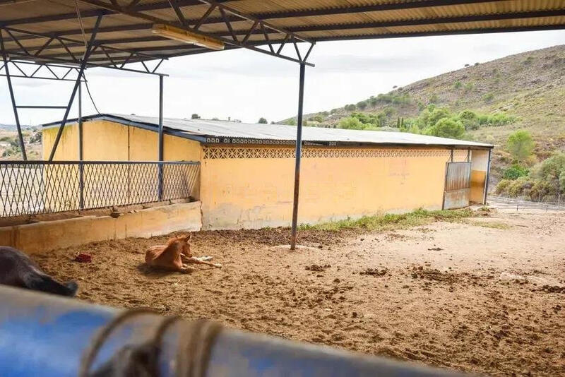 6 bedroom Country House for sale 6 bedroom Country House for sale