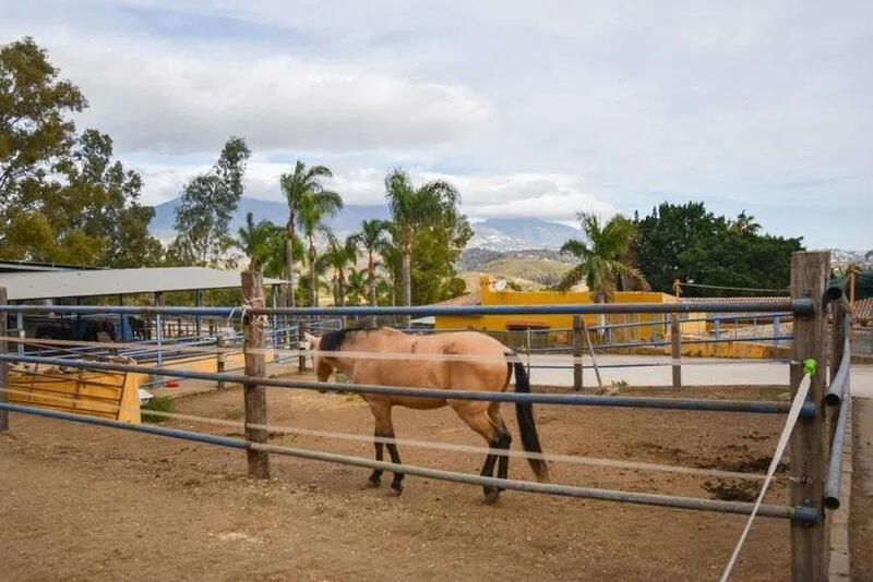 6 bedroom Country House for sale 6 bedroom Country House for sale