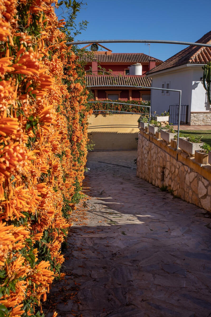 5 bedroom Country House for sale