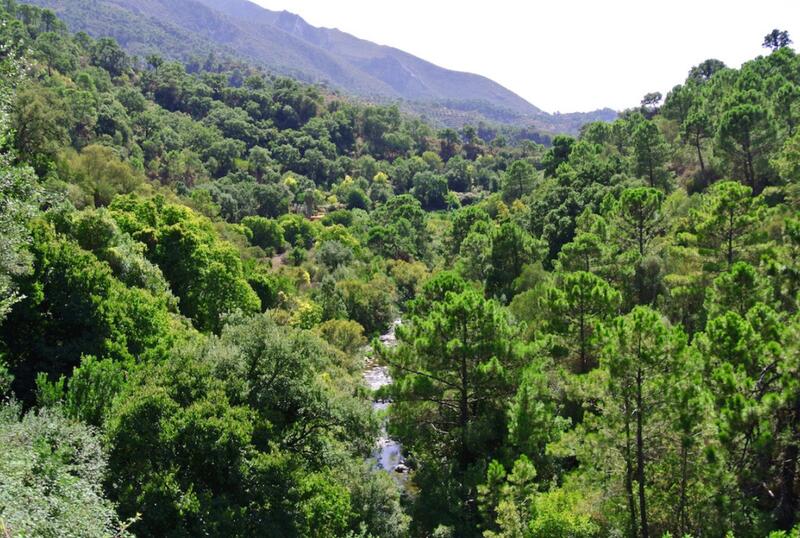 5 Cuarto Casa de Campo en venta