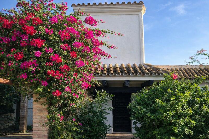 Casa Cueva en venta en Mijas Costa, Málaga