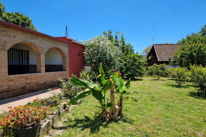 3 Cuarto Casa Cueva en venta