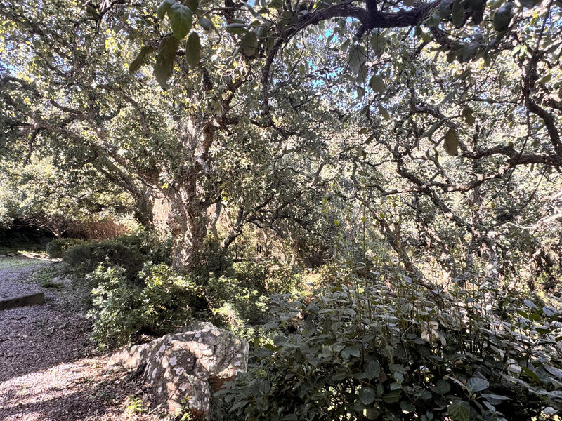 6 bedroom Villa for sale