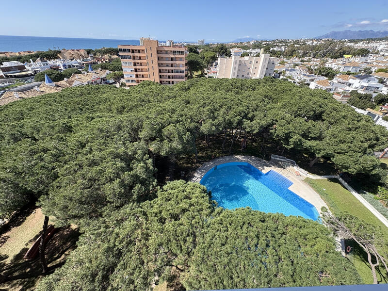 2 Cuarto Apartamento en venta