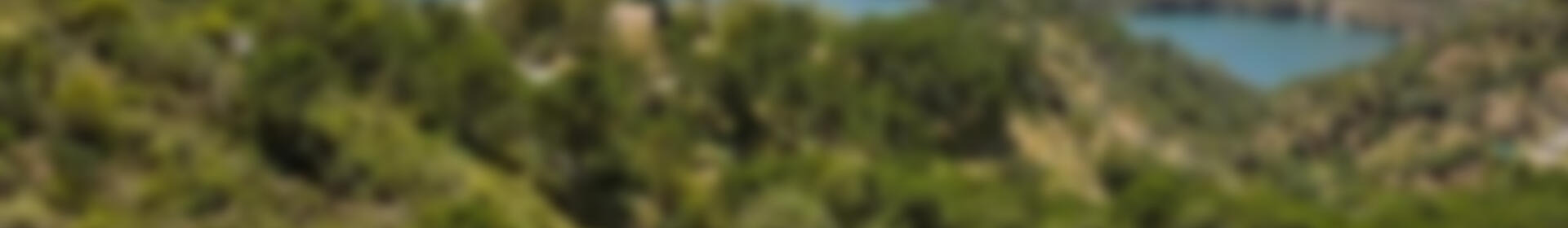 5 sovrum Villa till salu