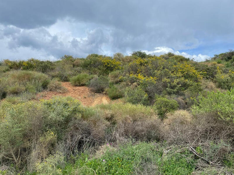 Terrenos en venta