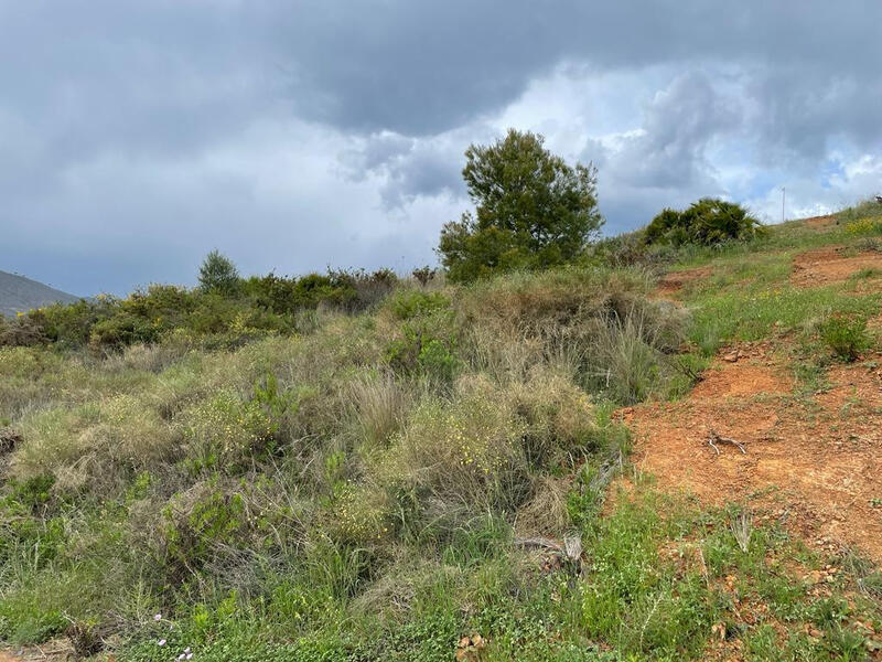 Terrain à vendre