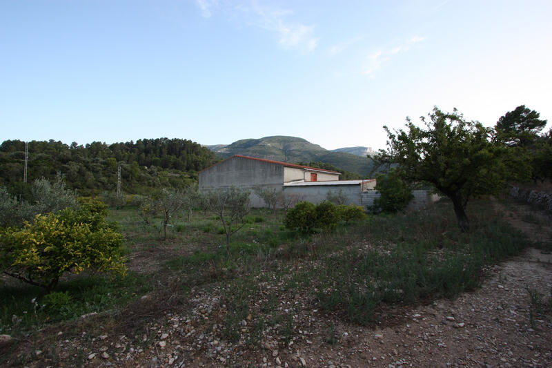 Casa de Campo en venta