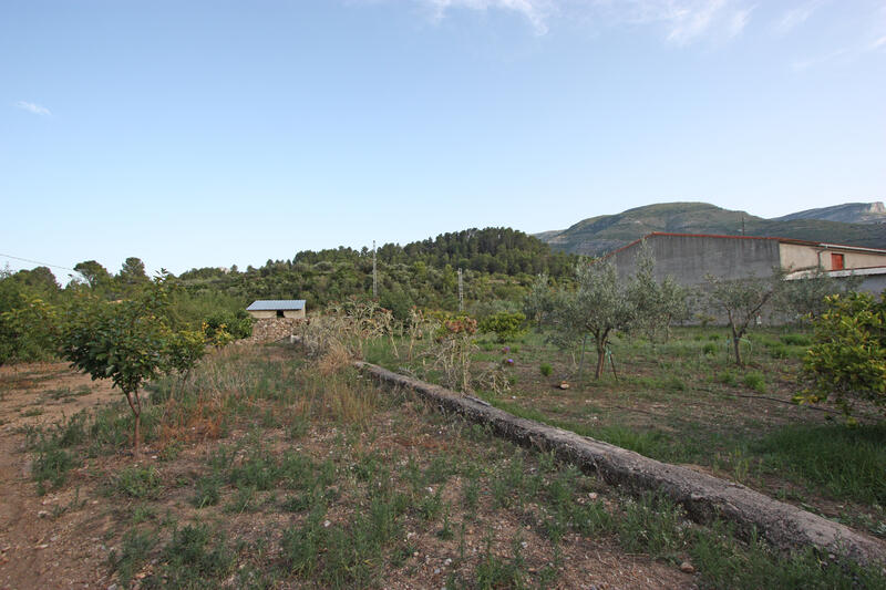 Casa de Campo en venta