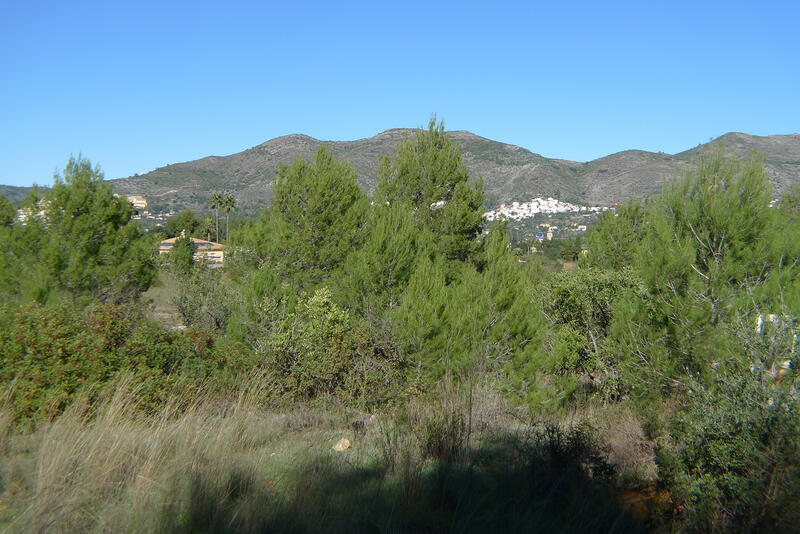 Land for sale in Jalón, Alicante