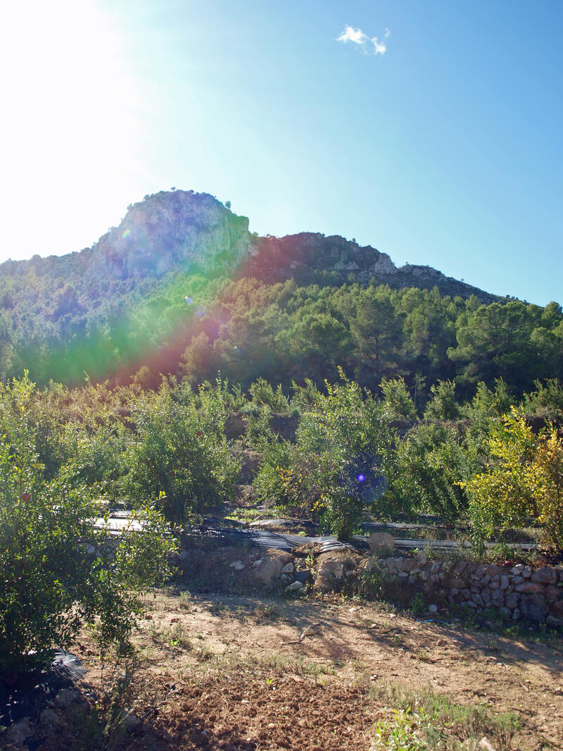 Terrenos en venta