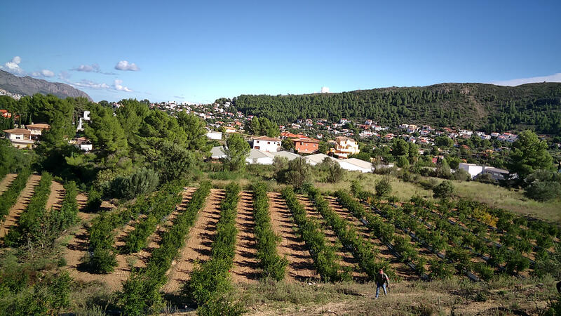 Terrain à vendre