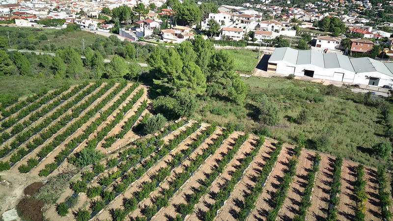 Terrenos en venta