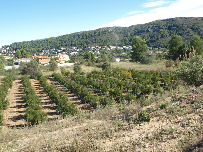 Terrenos en venta