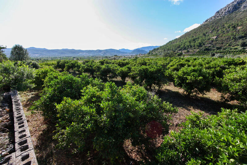 Landa till salu i Sagra, Alicante