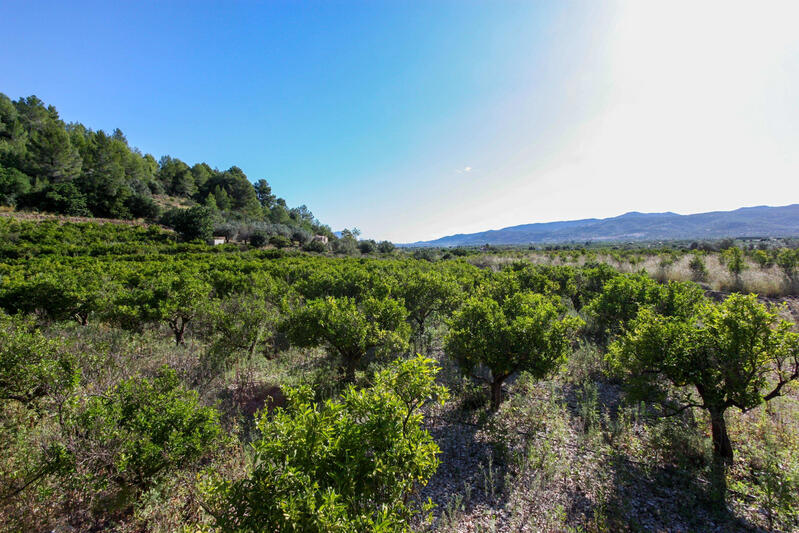 Terrain à vendre