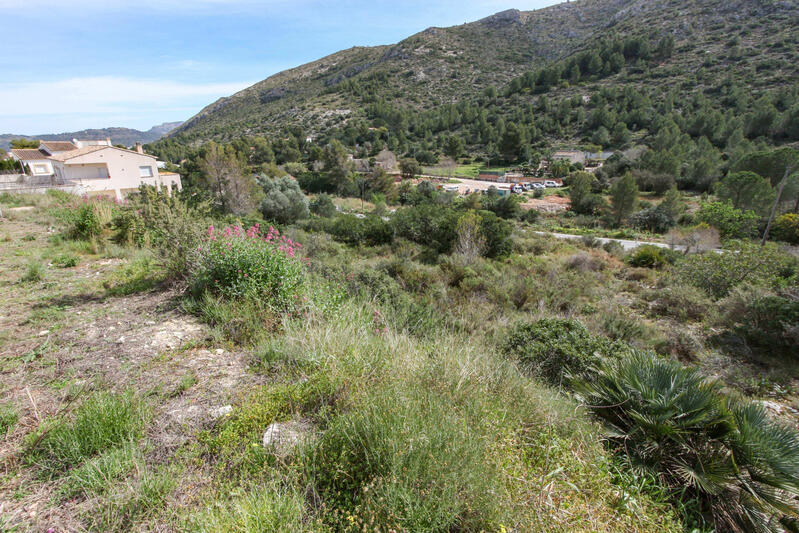 Land for sale in Pedreguer, Alicante