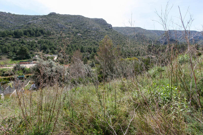 Land for sale in Pedreguer, Alicante